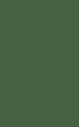 Зелёный плащ Майнкрафт — скачать бесплатно