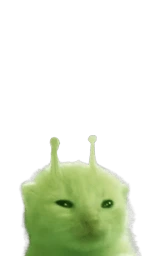 Кошка плащ Майнкрафт — скачать бесплатно