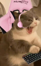Кошка плащ Майнкрафт — скачать бесплатно