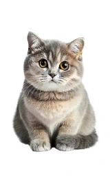 Кошка плащ Майнкрафт — скачать бесплатно