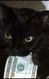 Животное плащ Майнкрафт — скачать бесплатно