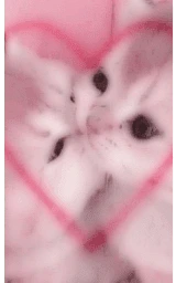 Животное плащ Майнкрафт — скачать бесплатно