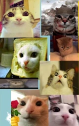 Кошка плащ Майнкрафт — скачать бесплатно