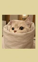 Кошка плащ Майнкрафт — скачать бесплатно