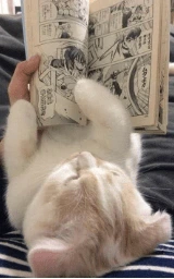 Животное плащ Майнкрафт — скачать бесплатно