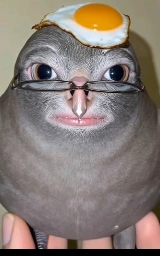 плащ Майнкрафт — скачать бесплатно