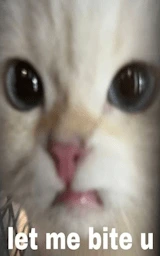 Кошка плащ Майнкрафт — скачать бесплатно
