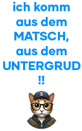 Кошка плащ Майнкрафт — скачать бесплатно