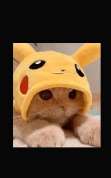 Кошка плащ Майнкрафт — скачать бесплатно