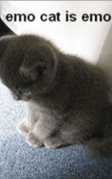 Эмо плащ Майнкрафт — скачать бесплатно