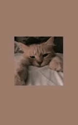 Животное плащ Майнкрафт — скачать бесплатно