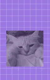 Животное плащ Майнкрафт — скачать бесплатно