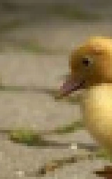 Утка плащ Майнкрафт — скачать бесплатно