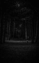 Тёмный плащ Майнкрафт — скачать бесплатно