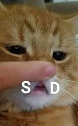 Кошка плащ Майнкрафт — скачать бесплатно