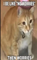 Кошка плащ Майнкрафт — скачать бесплатно