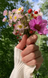 Розовый плащ Майнкрафт — скачать бесплатно