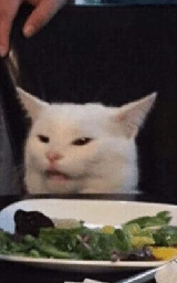Кошка плащ Майнкрафт — скачать бесплатно