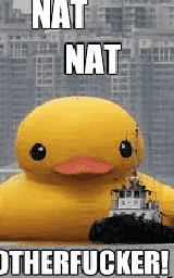 Утка плащ Майнкрафт — скачать бесплатно