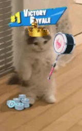 Кошка плащ Майнкрафт — скачать бесплатно