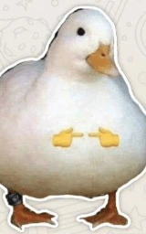 Утка плащ Майнкрафт — скачать бесплатно
