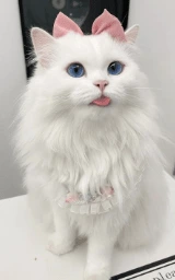 Кошка плащ Майнкрафт — скачать бесплатно
