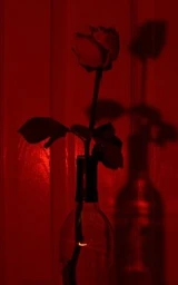 Красный плащ Майнкрафт — скачать бесплатно