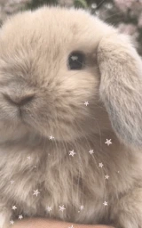 Милый плащ Майнкрафт — скачать бесплатно