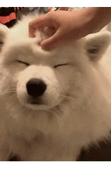 Животное плащ Майнкрафт — скачать бесплатно
