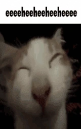 Кошка плащ Майнкрафт — скачать бесплатно