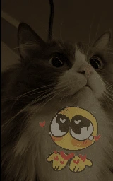 Кошка плащ Майнкрафт — скачать бесплатно