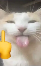 Кошка плащ Майнкрафт — скачать бесплатно