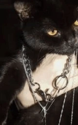 Чёрный плащ Майнкрафт — скачать бесплатно