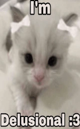 Кошка плащ Майнкрафт — скачать бесплатно