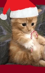 Животное плащ Майнкрафт — скачать бесплатно