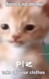 Кошка плащ Майнкрафт — скачать бесплатно