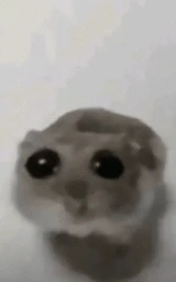 Животное плащ Майнкрафт — скачать бесплатно