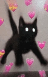 Кошка плащ Майнкрафт — скачать бесплатно
