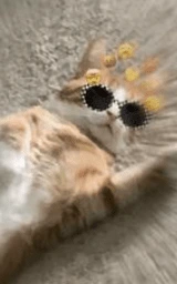 Кошка плащ Майнкрафт — скачать бесплатно