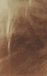 Коричневый плащ Майнкрафт — скачать бесплатно