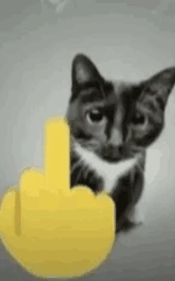 Кошка плащ Майнкрафт — скачать бесплатно