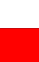 Красный плащ Майнкрафт — скачать бесплатно