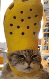 Кошка плащ Майнкрафт — скачать бесплатно