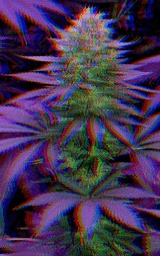 Тёмный плащ Майнкрафт — скачать бесплатно