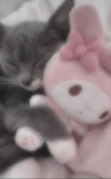 Кошка плащ Майнкрафт — скачать бесплатно