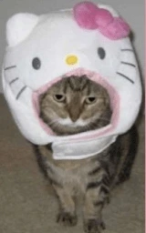 Кошка плащ Майнкрафт — скачать бесплатно