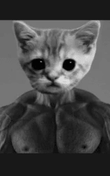 Кошка плащ Майнкрафт — скачать бесплатно