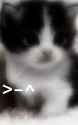 Кошка плащ Майнкрафт — скачать бесплатно