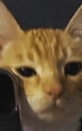 Кошка плащ Майнкрафт — скачать бесплатно