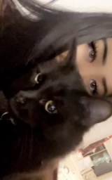Кошка плащ Майнкрафт — скачать бесплатно